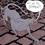 Le chat du rabbin